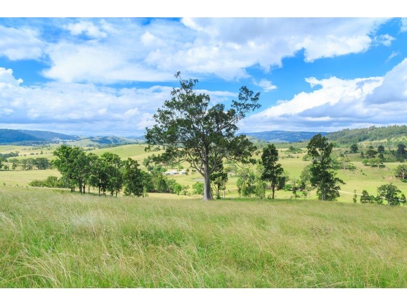 228 Cranky Corner Road, North End, Branxton NSW 2335