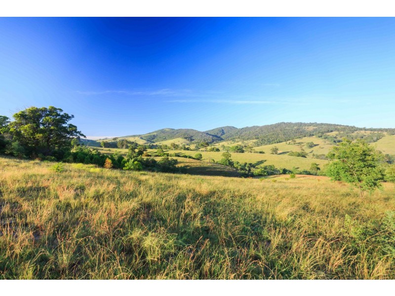 228 Cranky Corner Road, North End, Branxton NSW 2335