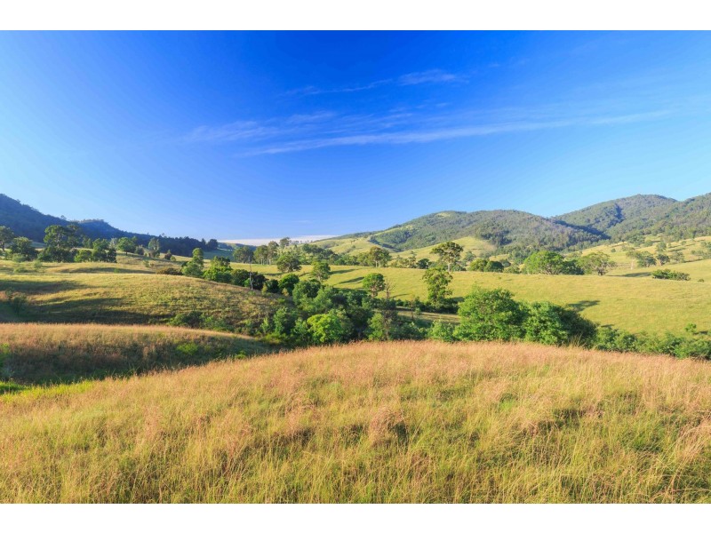 228 Cranky Corner Road, North End, Branxton NSW 2335