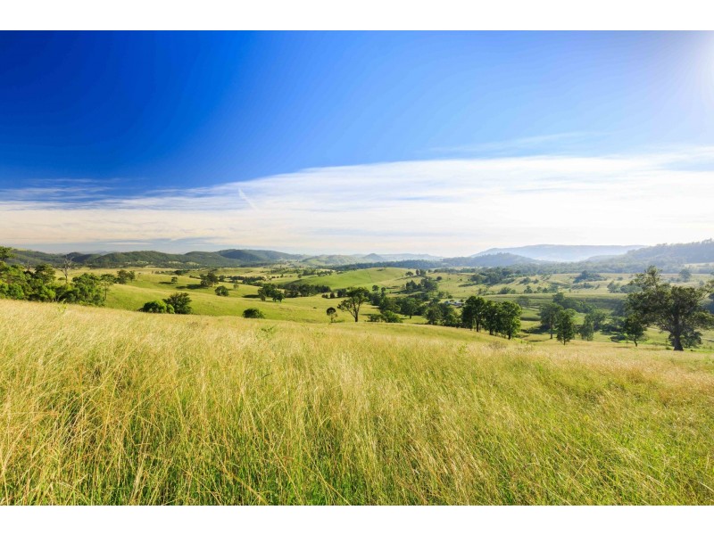 228 Cranky Corner Road, North End, Branxton NSW 2335