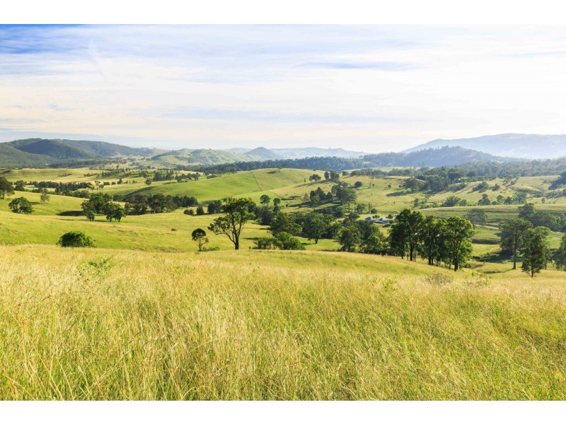 228 Cranky Corner Road, North End, Branxton NSW 2335