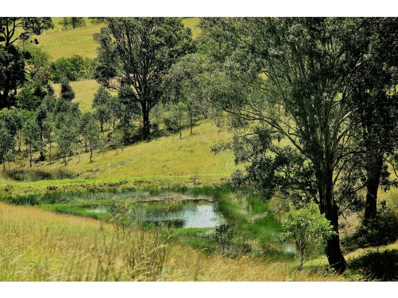 228 Cranky Corner Road, North End, Branxton NSW 2335