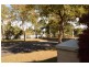 31 Royal George Drive, Harrington Park NSW 2567