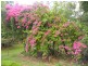 Mount Sylvia QLD 4343