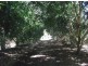 Mount Sylvia QLD 4343