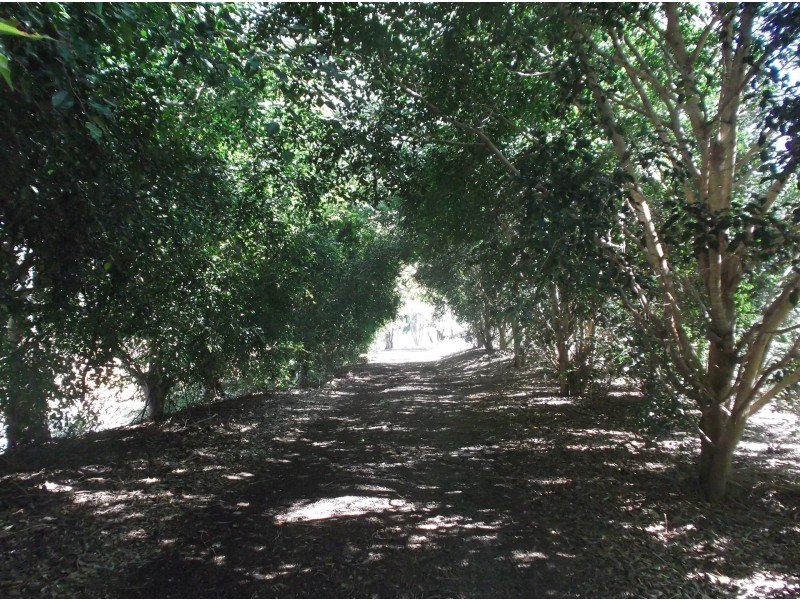 Mount Sylvia QLD 4343