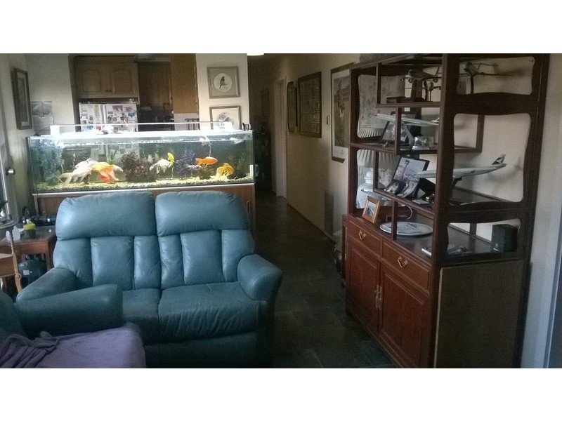 61 Boronia Road, Vermont VIC 3133