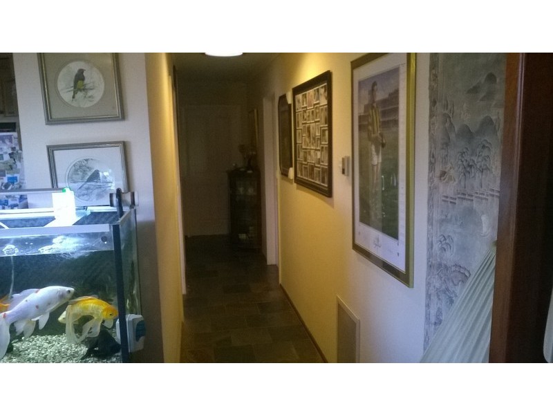 61 Boronia Road, Vermont VIC 3133