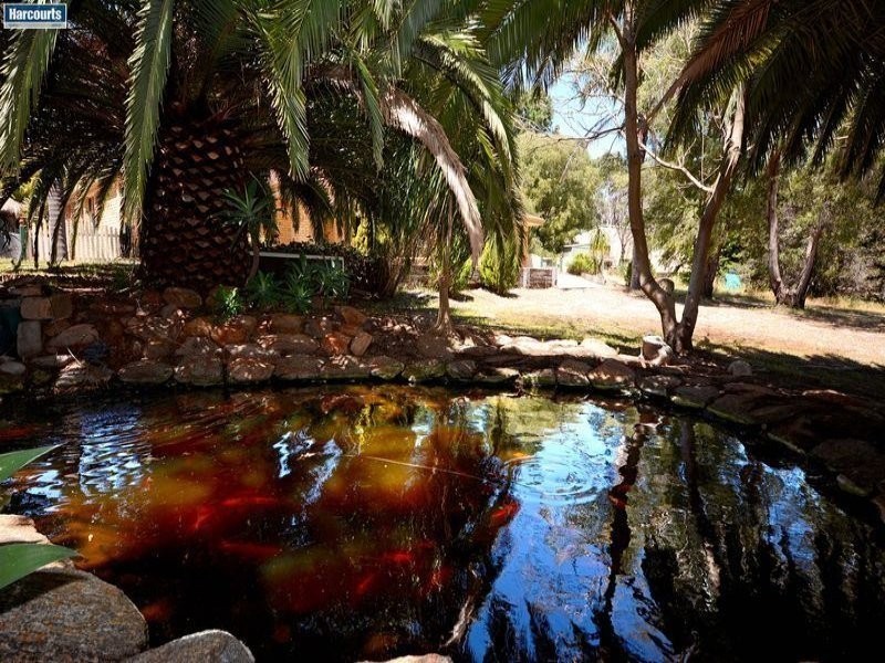 6 Tifway Place, Carabooda WA 6033