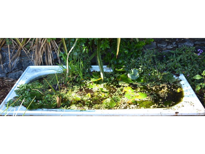 25 Cabragh St, Ferny Grove QLD 4055