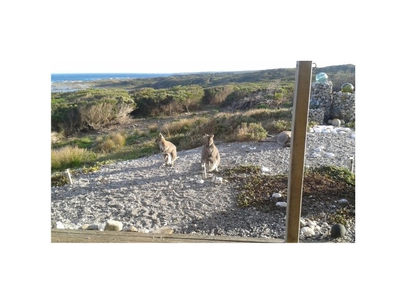 1419 North Road, Currie TAS 7256