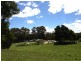 184 Lyons Road, Lapoinya TAS 7325