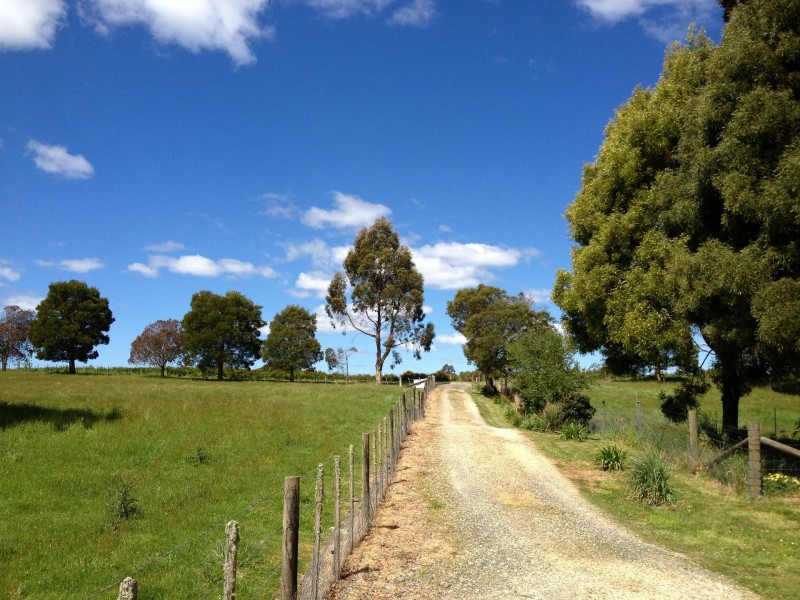 184 Lyons Road, Lapoinya TAS 7325