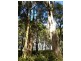 184 Lyons Road, Lapoinya TAS 7325