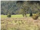 Lot 3 Morisson Street, Kimberley TAS 7304