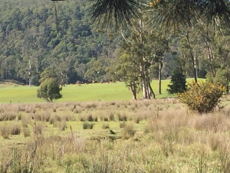 Lot 3 Morisson Street, Kimberley TAS 7304