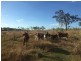 181 Daisy Dell Road, Bororen, Bororen QLD 4678