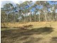 181 Daisy Dell Road, Bororen, Bororen QLD 4678