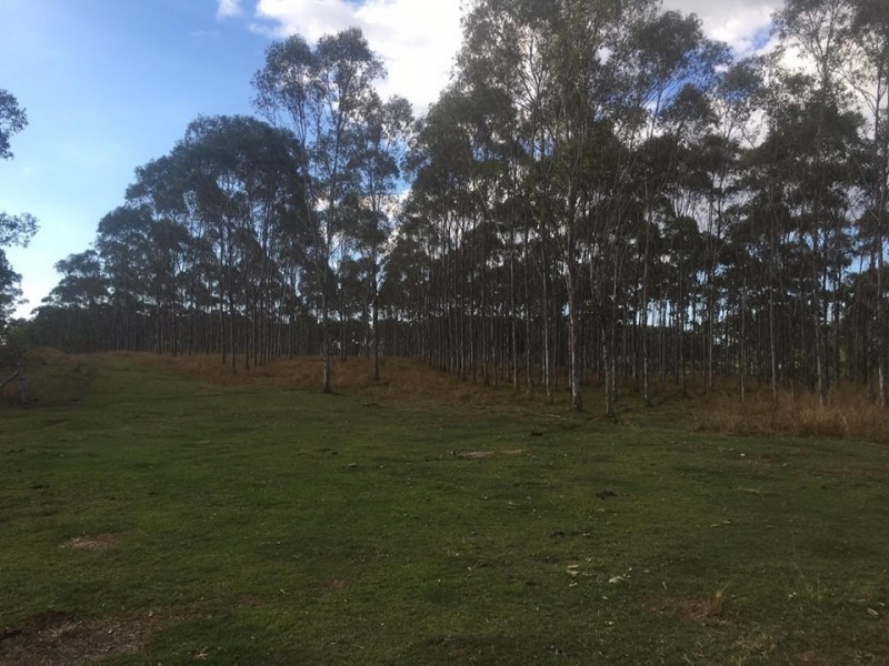 181 Daisy Dell Road, Bororen, Bororen QLD 4678