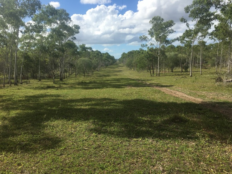 181 Daisy Dell Road, Bororen, Bororen QLD 4678