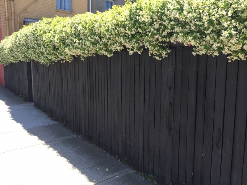 260 Unwins Bridge Rd, Sydenham NSW 2044