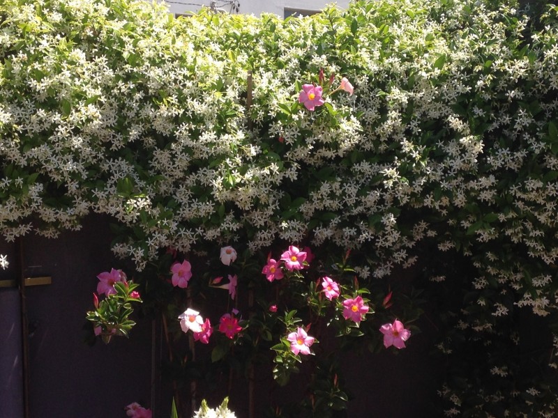 260 Unwins Bridge Rd, Sydenham NSW 2044