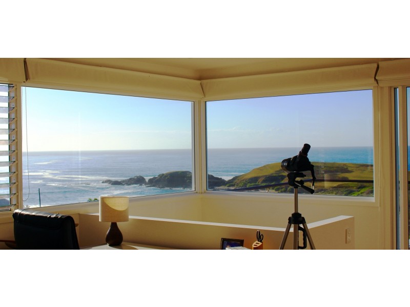 2 Signal St, Emerald Beach NSW 2456