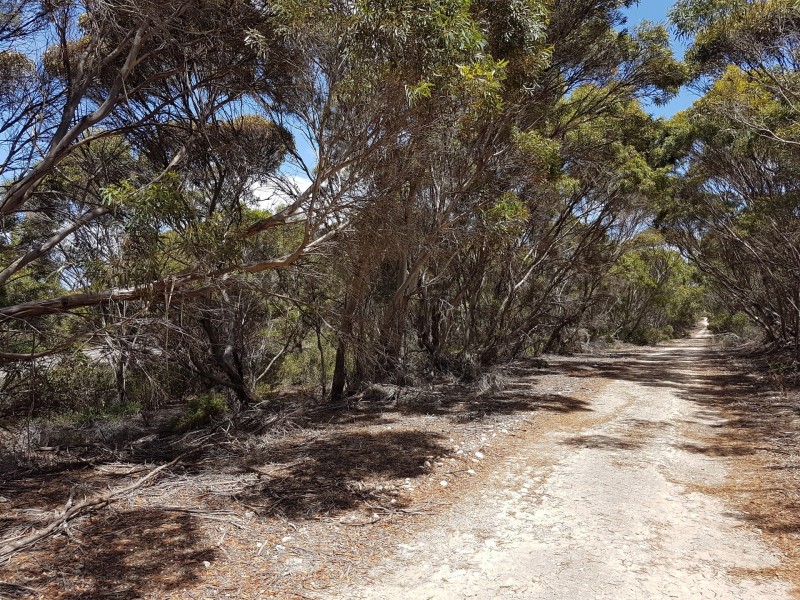 101 Hog Bay Road, Pelican Lagoon SA 5222