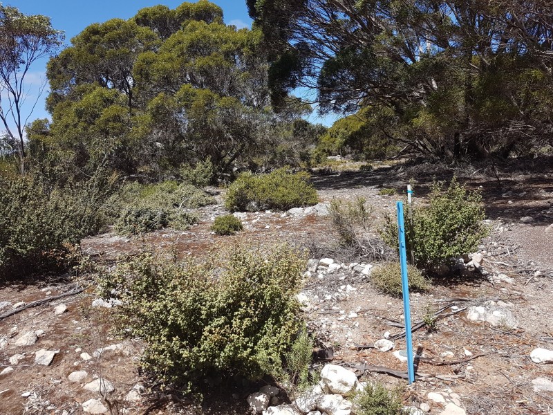 101 Hog Bay Road, Pelican Lagoon SA 5222