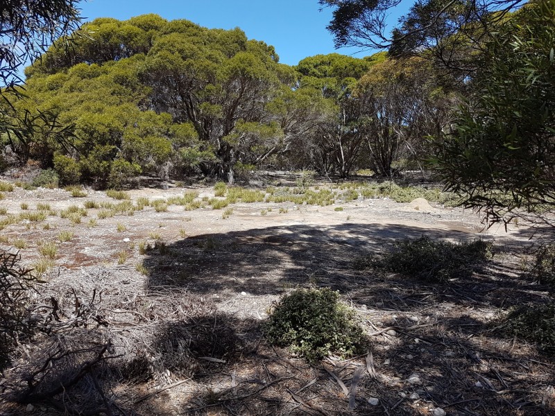 101 Hog Bay Road, Pelican Lagoon SA 5222