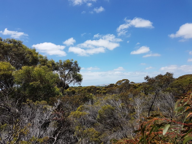 101 Hog Bay Road, Pelican Lagoon SA 5222