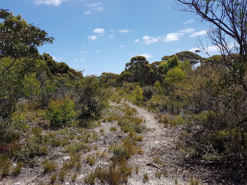 101 Hog Bay Road, Pelican Lagoon SA 5222