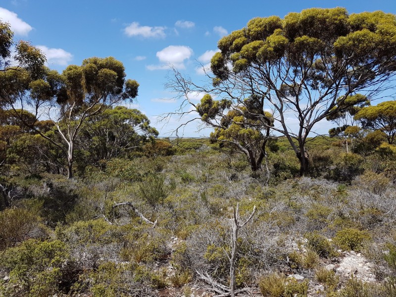 101 Hog Bay Road, Pelican Lagoon SA 5222