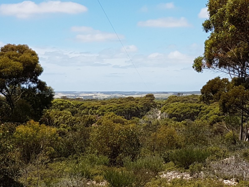 101 Hog Bay Road, Pelican Lagoon SA 5222