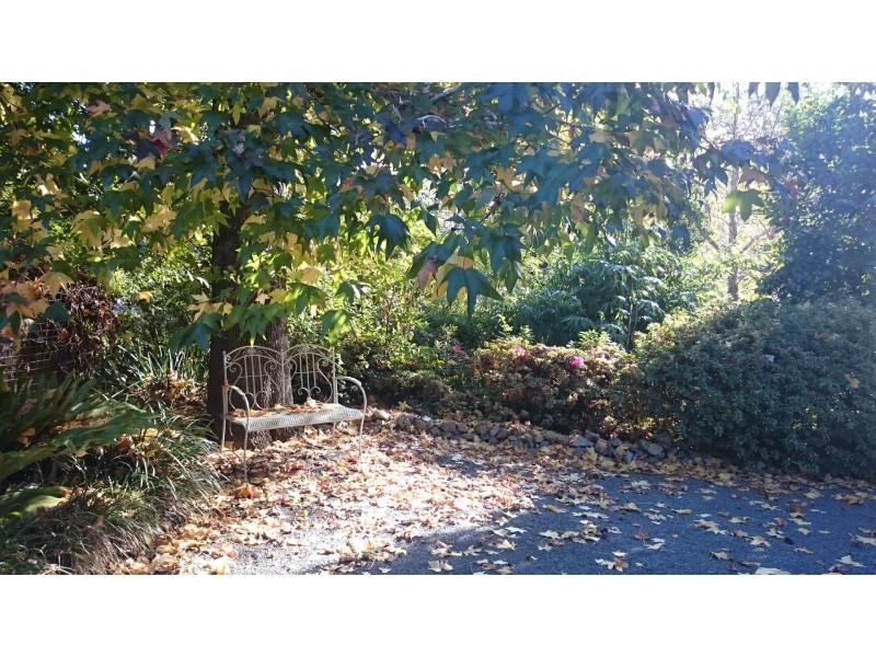 25 Lahey Rd, Tamborine Mountain QLD 4272