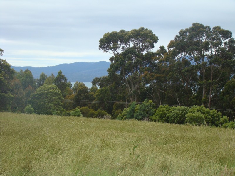 93 Littles Road, Premaydena TAS 7185