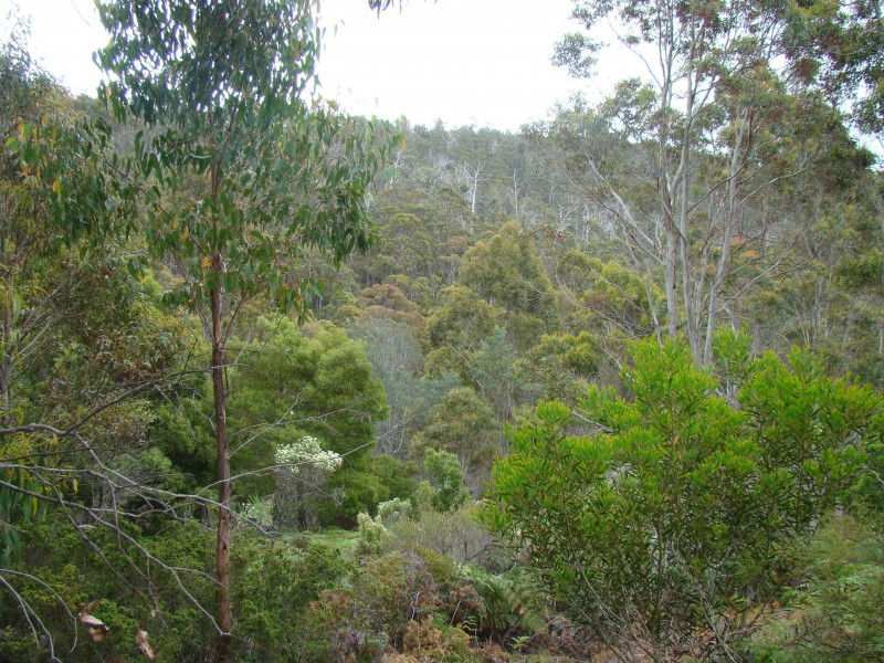 93 Littles Road, Premaydena TAS 7185