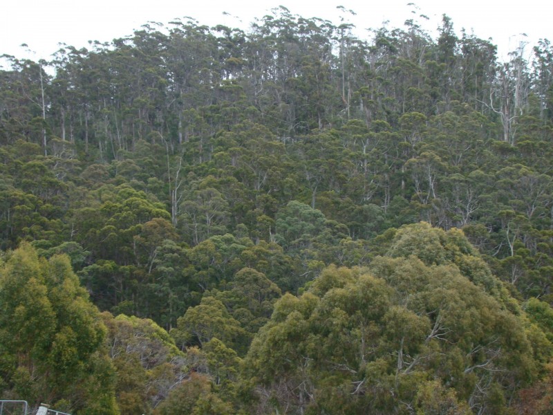 93 Littles Road, Premaydena TAS 7185