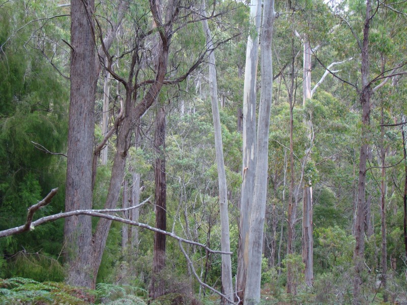 93 Littles Road, Premaydena TAS 7185