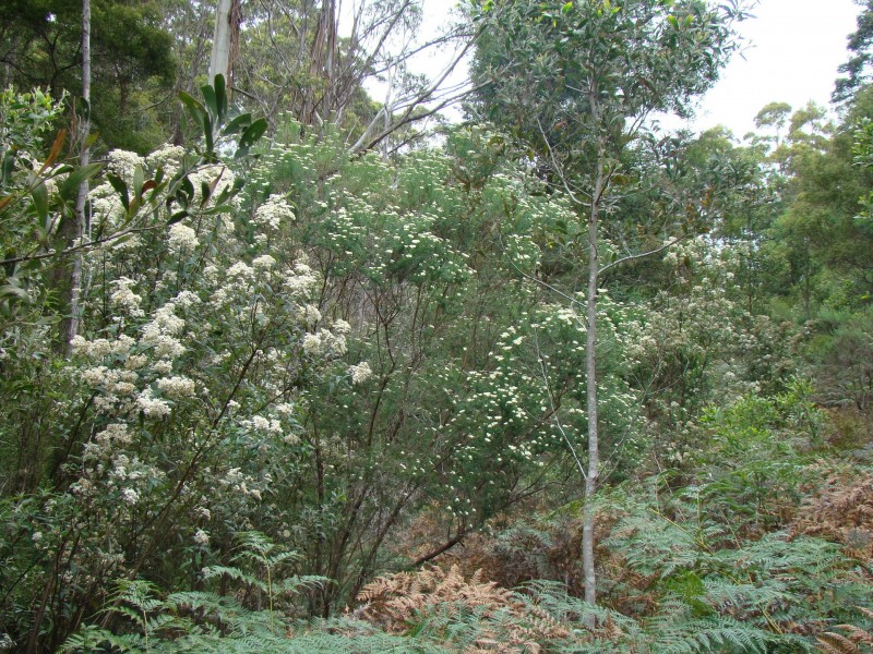 93 Littles Road, Premaydena TAS 7185