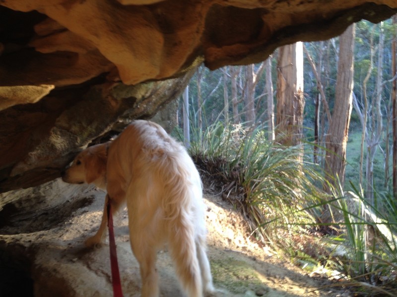 93 Littles Road, Premaydena TAS 7185