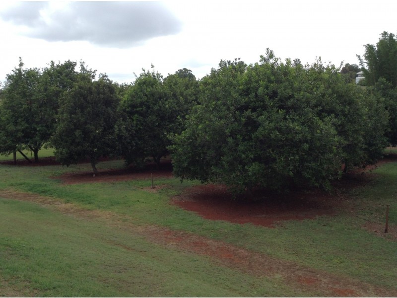 258 Apple Tree Creek Hall Road, North Isis QLD 4660