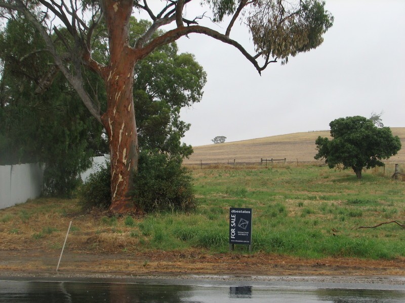 LOT 12 MAIN RD, Rhynie SA 5412