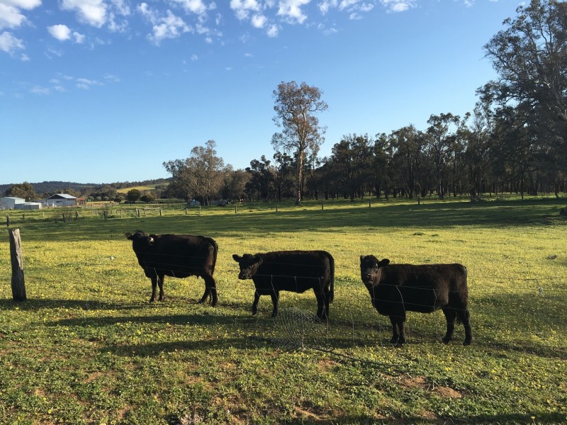 139 Twin Bridges Place, Crossman WA 6390