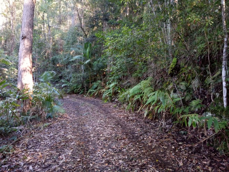 Bellangry NSW 2446