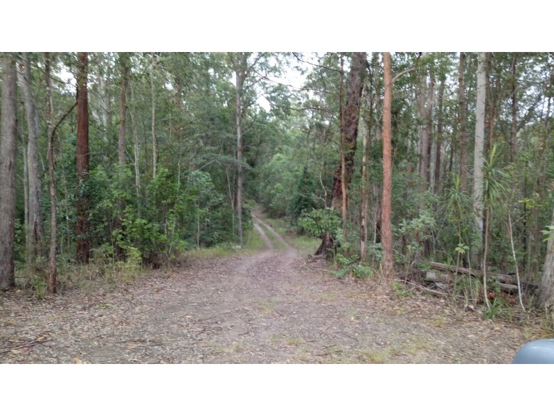 Bellangry NSW 2446