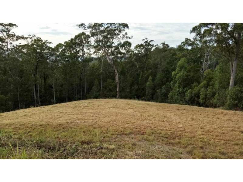 Bellangry NSW 2446