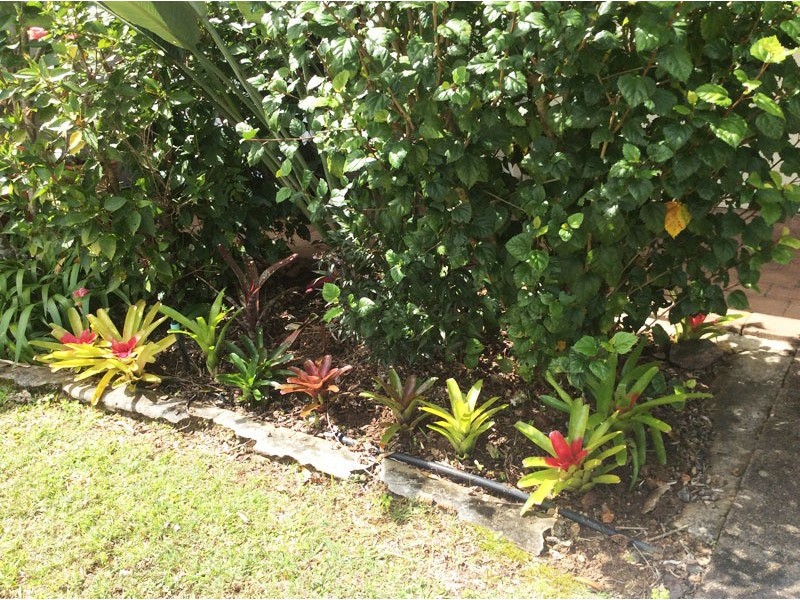 15 Jacaranda Ave, Murwillumbah NSW 2484