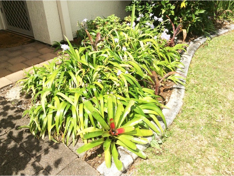 15 Jacaranda Ave, Murwillumbah NSW 2484