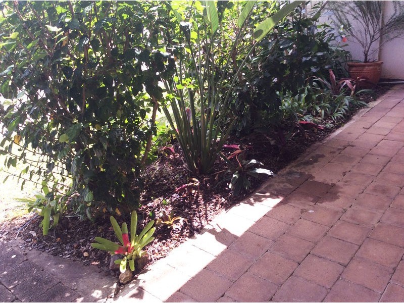 15 Jacaranda Ave, Murwillumbah NSW 2484